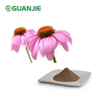 Σκόνη εκχυλίσματος Echinacea