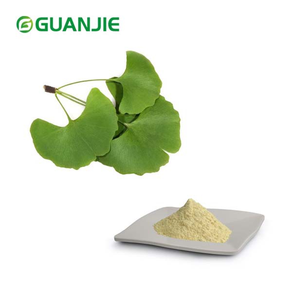 Εκχύλισμα φύλλων Ginkgo Biloba σε σκόνη