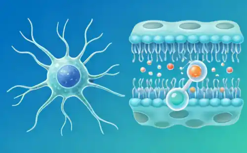 Neuronal Membrane Repair Citicoline Sodium Powder Neuronal Membrane Repair Citicoline Sodium Powder